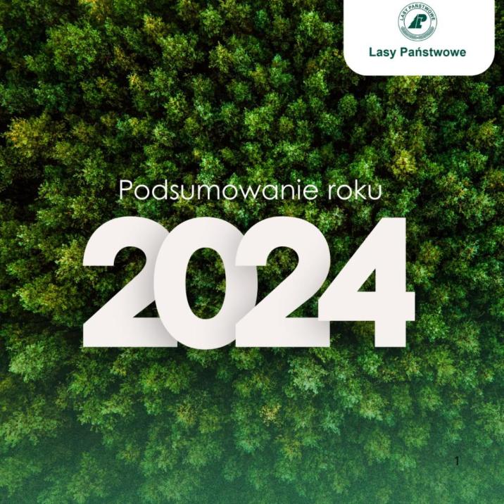 Lasy&#x20;Państwowe&#x3a;&#x20;To&#x20;był&#x20;rok&#x20;ochrony&#x20;przyrody&#x2c;&#x20;adaptacji&#x20;lasów&#x20;do&#x20;zmian&#x20;klimatu&#x20;i&#x20;trudnego&#x20;dialogu&#x20;społecznego